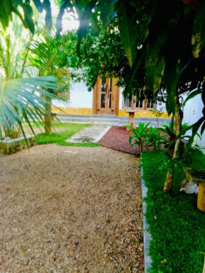 Ama Home